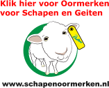 Dalton Continental - EID oormerken voor schapen en geiten